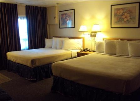 Twin Peaks Motel Napanee Kültér fotó