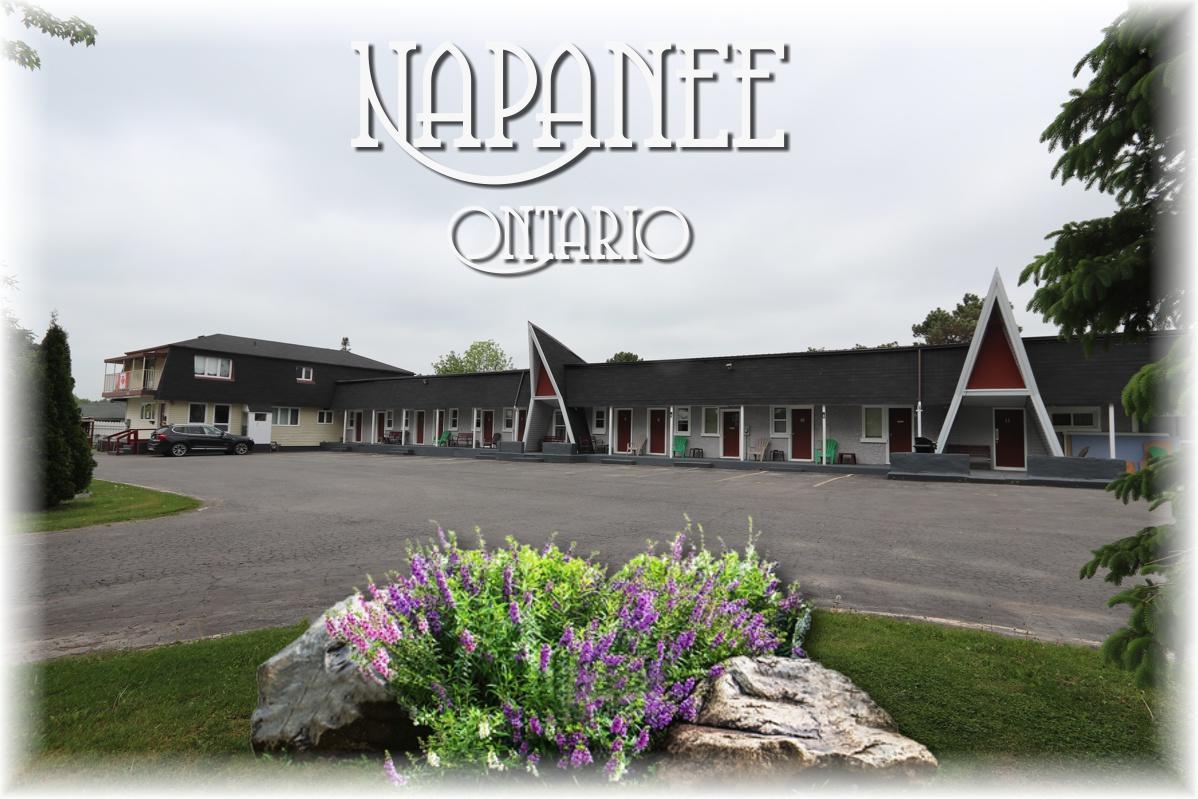 Twin Peaks Motel Napanee Kültér fotó